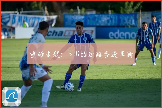 重磅专题：BLG的边路渗透革新
